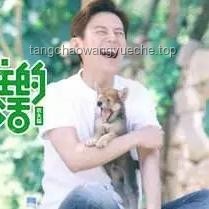 朋友圈访客记录功能真相：腾讯客服的深度回应与行业透视